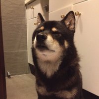 癮型人 (@enjoyer29) 's Twitter Profile