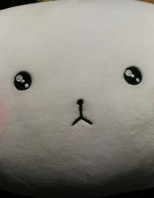 koukiさんのプロフィール画像