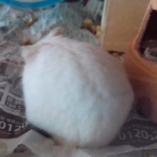 Cha68175819's profile picture. 