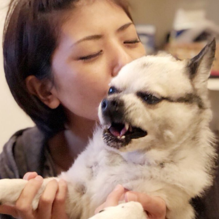 宮地真緒と愛犬天狗(18)です。 立ち上がれ雑種！