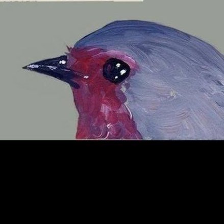 DeZuB144's profile picture. deus ex machina
Satoshi Nakamoto