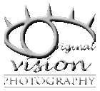 Leslie Marriott - @LesMarriott - Twitter