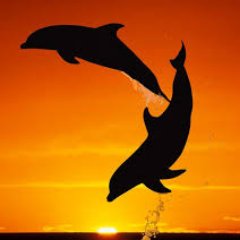 itibi's profile picture. 