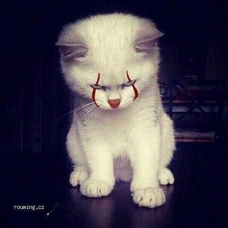 ConsecProject's profile picture. 