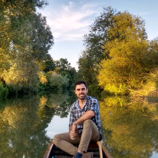 Forest ecologist. Assistant Research Professor at University of Maryland/NASA GEDI