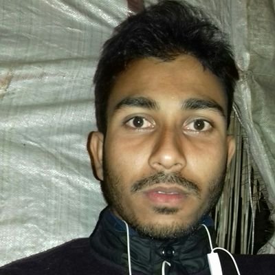 Animesh28098717's profile picture. 