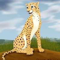 Ruby (@rubycheetah1) 's Twitter Profile