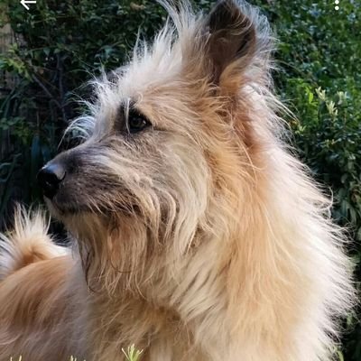 clemgin's profile picture. sono nata il 13 ottobre