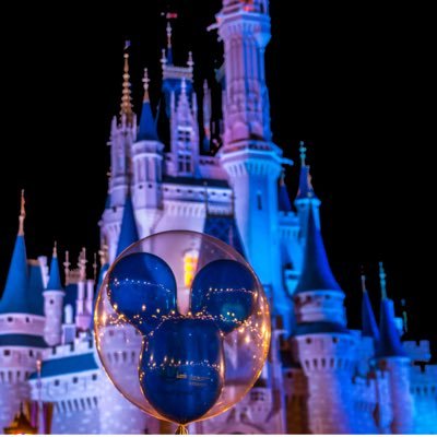 WDWBalloon's profile picture. Your kids want me and I want your money. The worlds best balloon now has its own Twitter! Come follow me as I venture thru the parks, annoying everyone I pass!