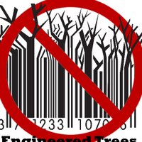 Campaign to Stop GE Trees(@STOPGETREES) 's Twitter Profileg