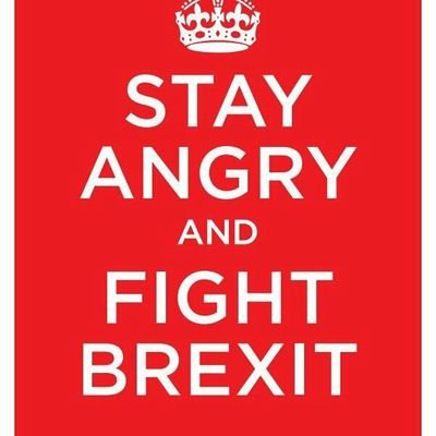 Mourning all that Brexit has destroyed. Still angry with all who caused and connived in it. Determined to undo at least some of that harm. #StopFascism