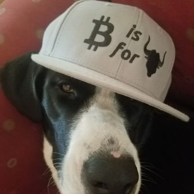 #bitcoin #crypto #cryptocurrency #cryptocoin #btc #satoshi #altcoins GIVEAWAY!!!