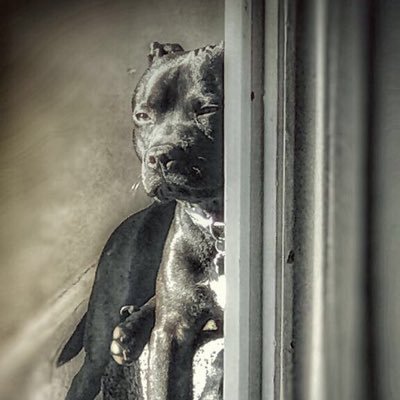 jayden41384471's profile picture. Newcastle sc~Jaydenherron13 instagram ~ Jayden Herron