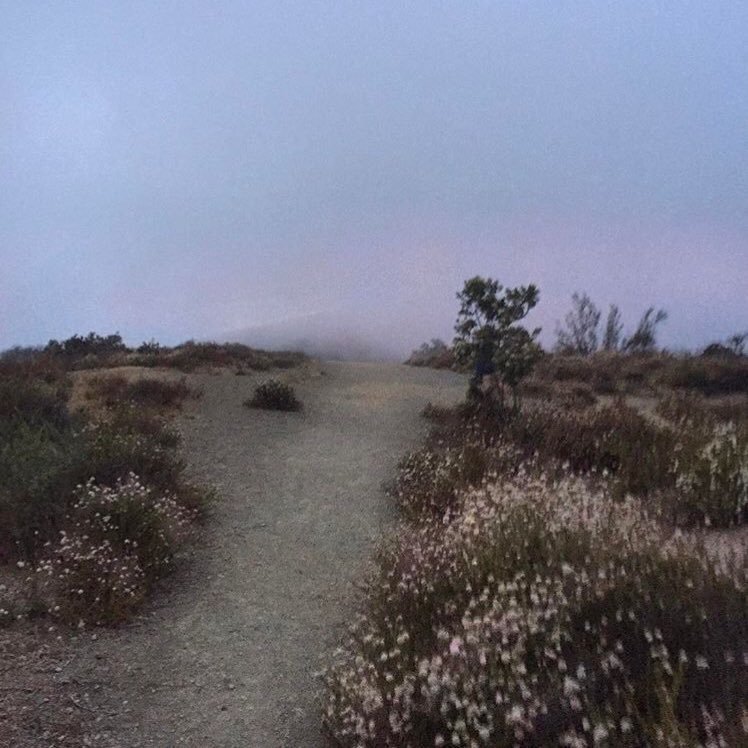 bokvngM's profile picture. 