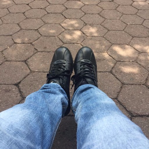 msua1717's profile picture. 