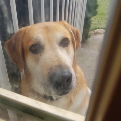 FL220's profile picture. The Jet-Set life without ever forgetting my roots.