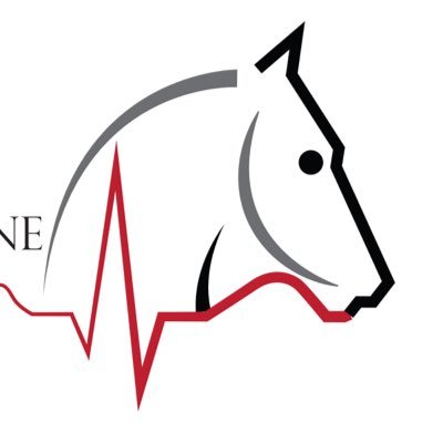 Equine Veterinary Clinic in Shropshire providing a full range of diagnostics and treatments. Modern newly developed clinic with surgical facilities.