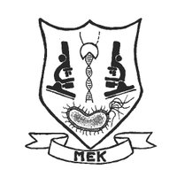 El Karoui Lab (@meklab) 's Twitter Profile