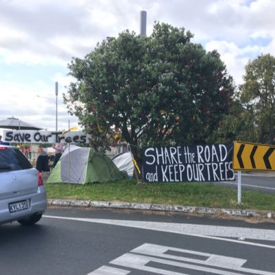 pohutukawa_one's profile picture. I have bloomed on the Garnet Road Island in Westmere for 20 years. Leave me be. Let your Road go around me forever.