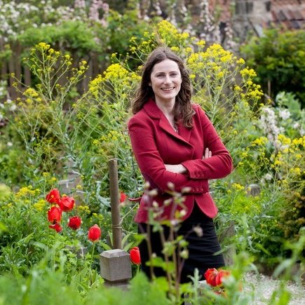 A herbalist who goes back in time in the Scottish Highlands- sound familiar? Sometimes disappears. Ask the plants where to find me! *BOOK OUT SOON*