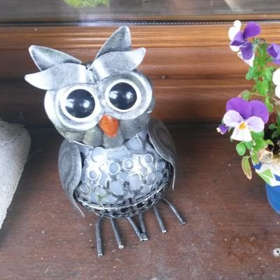 fleurdesousbois's profile picture. 