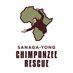 Sanaga-Yong Chimpanzee Rescue (@SYChimpRescue) Twitter profile photo