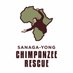 Sanaga-Yong Chimpanzee Rescue (@sychimprescue) Twitter profile photo Sanaga-Yong Chimpanzee Rescue (@sychimprescue) Twitter profile photo