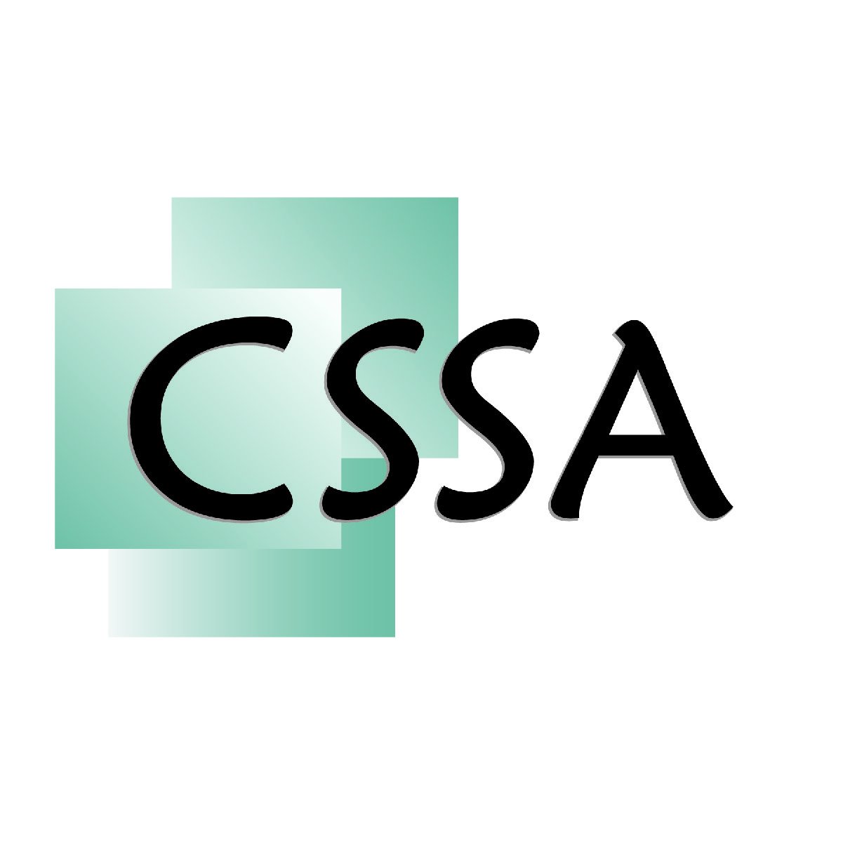 CSSA is an economically disadvantaged woman-owned small business. Our core competencies are software & systems engineering and process improvement services.