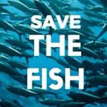 Save The Fish (@Fish2Save) / X