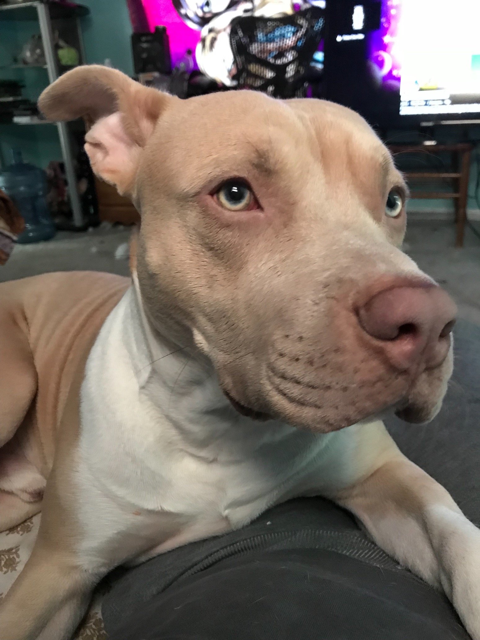 Nerdbox33's profile picture. 