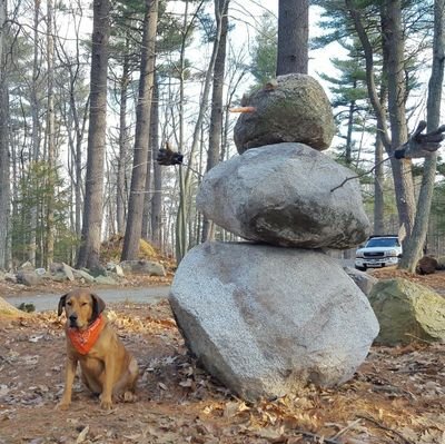 Stone Mason, K9 Slave, apologetic big truck driver, Cord wood stacker. Remember: 
Granite Snowmen Never Melt!  Stix/Stones