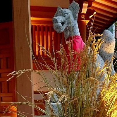 日本橋室町ご鎮座の福徳神社の公式アカウント。別号「芽吹稲荷」。
最寄り駅は、東京メトロ銀座線・半蔵門線三越前駅か、JR総武快速線新日本橋駅。A6番出口を出てすぐ、コレド室町すぐそばの赤い鳥居が目印です。
instgram:https://t.co/Uy9PxYfgr8
