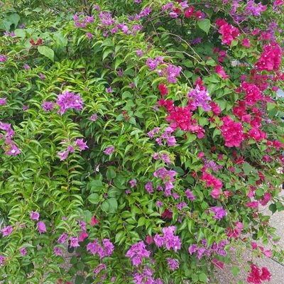 bjordanmom's profile picture. Faith, family, blessed, wellness advocate