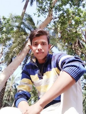 chhajurampura's profile picture. Rohit meena
