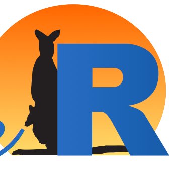 useR2018_conf's profile picture. USER! 2018 Conference July 11-13