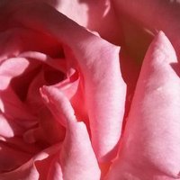 Maria🏴󠁧󠁢󠁥󠁮󠁧󠁿 (@mariamarilucen) 's Twitter Profile Photo