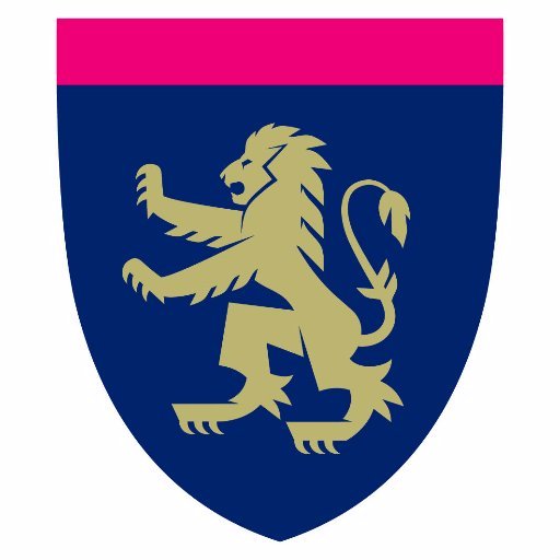 Olchfa Research Profile