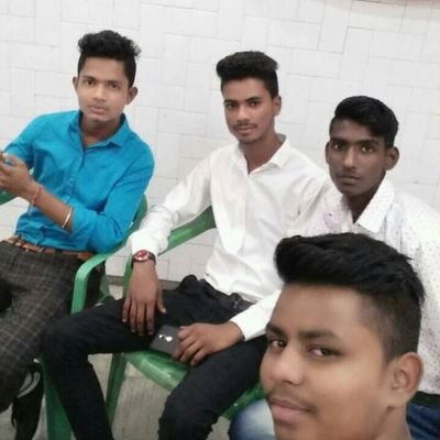 Cricket