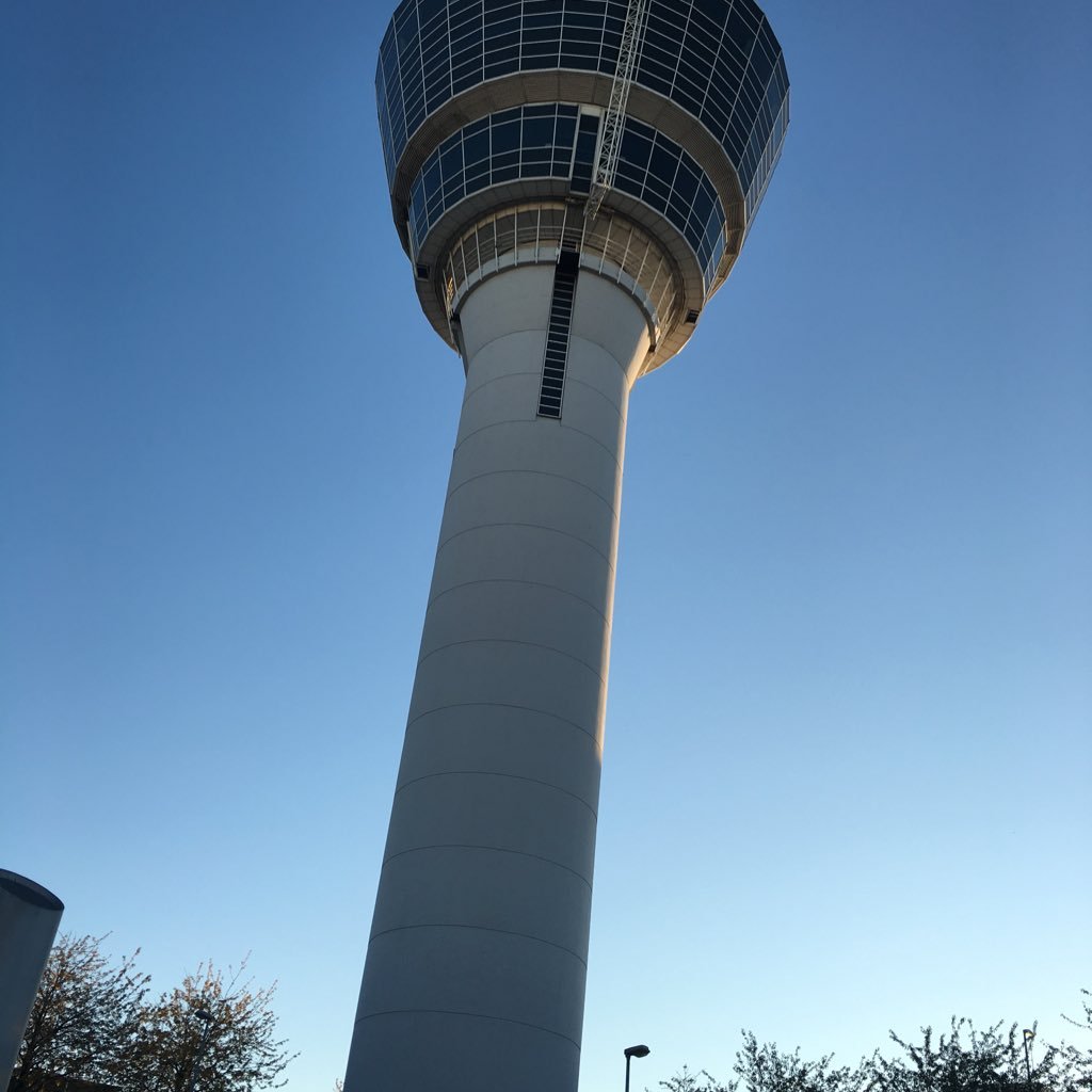 gohltree's profile picture. 