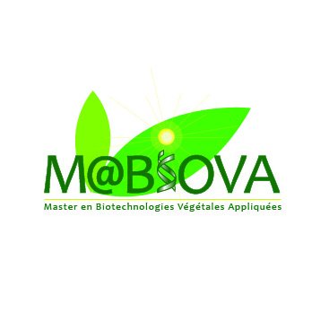 ErasmusMaBioVA's profile picture. Projet #Erasmus+ pour créer un master au #Maroc en #Biotechnologie végétale pour l'amélioration  des plantes. Coordonné par @INP_Toulouse , @_mohamedZouine