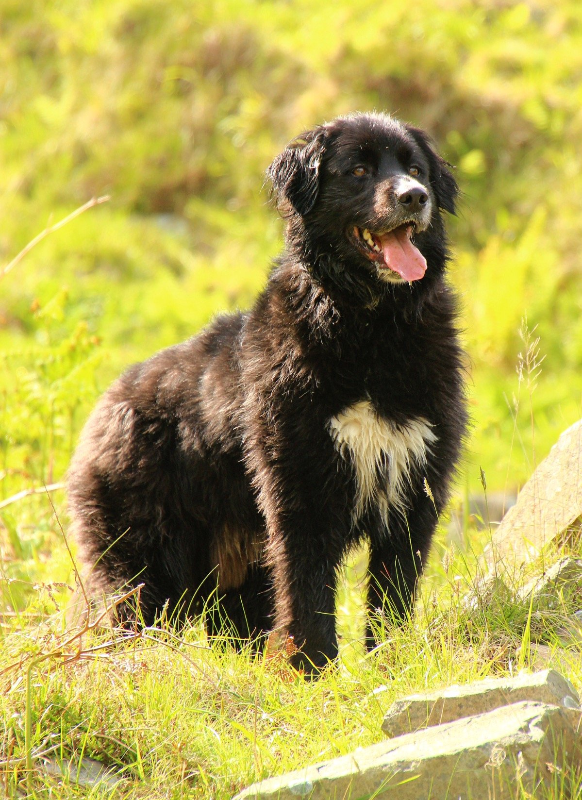 zxious's profile picture. 