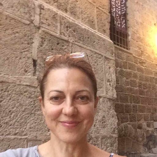 manusim's profile picture. Personal opinions of a lawyer-linguist with a techie edge and an unshakeable love for painting, beauty and comms. Founder Entrepreneur and certified SF admin