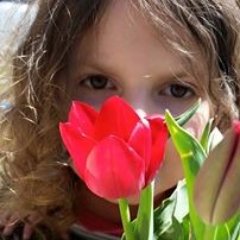 bubbaharold's profile picture. As a journalist and observer of mankind, I have more questions than answers. Sort of like an inquisitive child, still eager to learn...