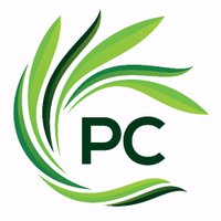 PurCity (@purcity1) 's Twitter Profile