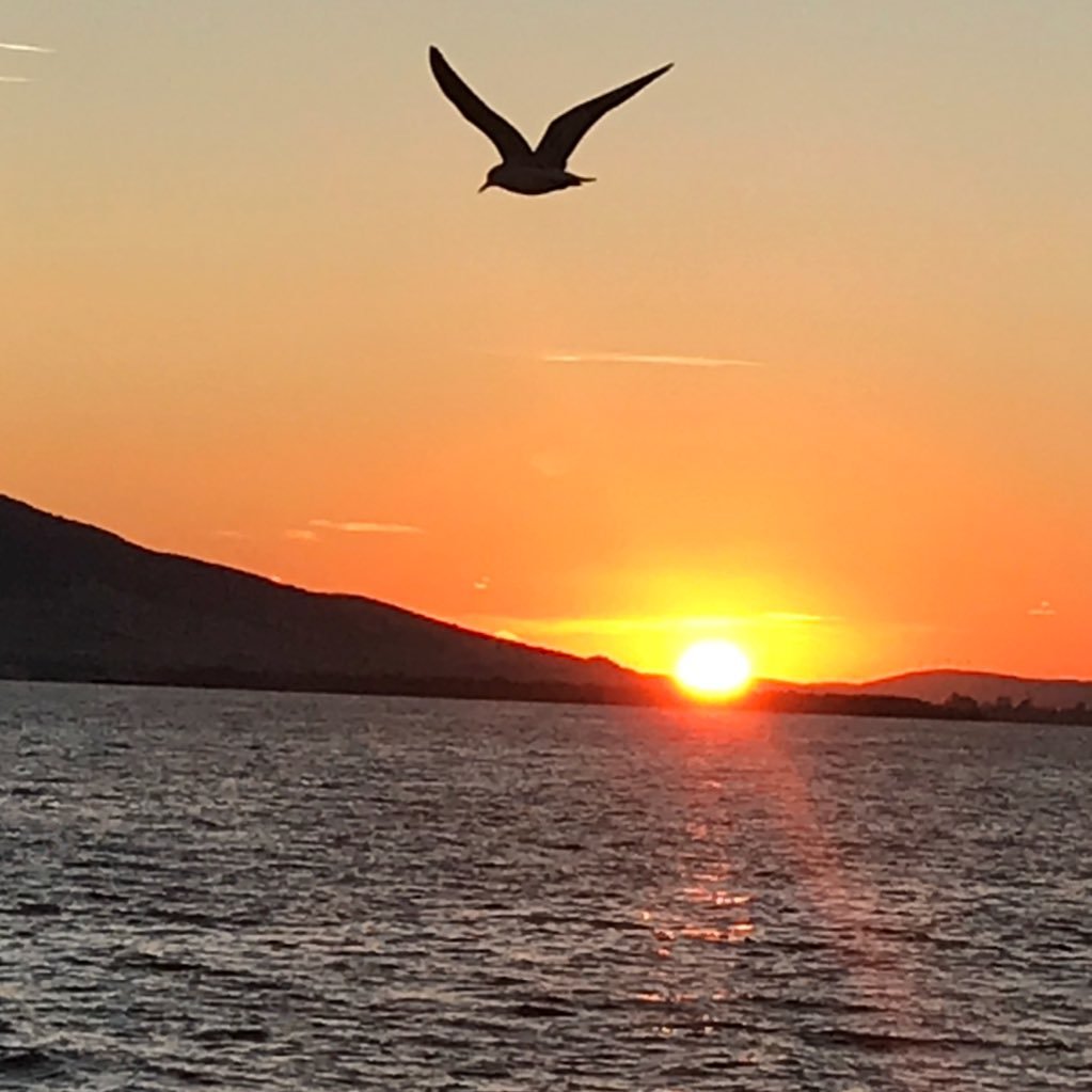 SPECTATOR162's profile picture. Dünya yer. Fw,fw;unfw,unfw Her rt ve beğeni kabul anlamına gelmez