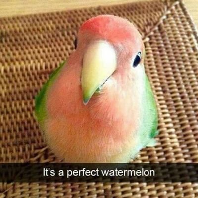 sssssssssday's profile picture.