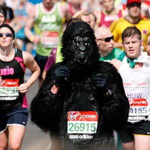 Chimp loves run all day