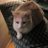 PippiTheCat1's avatar
