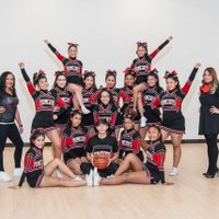 Tomcat Cheer (@tomcatcheer) 's Twitter Profile