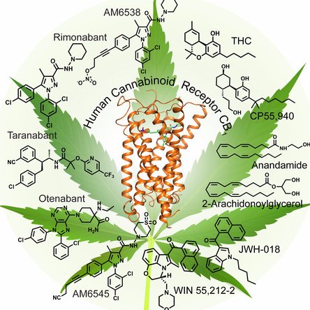 growtecnologi's profile picture. 🔝🔝🔝🔝